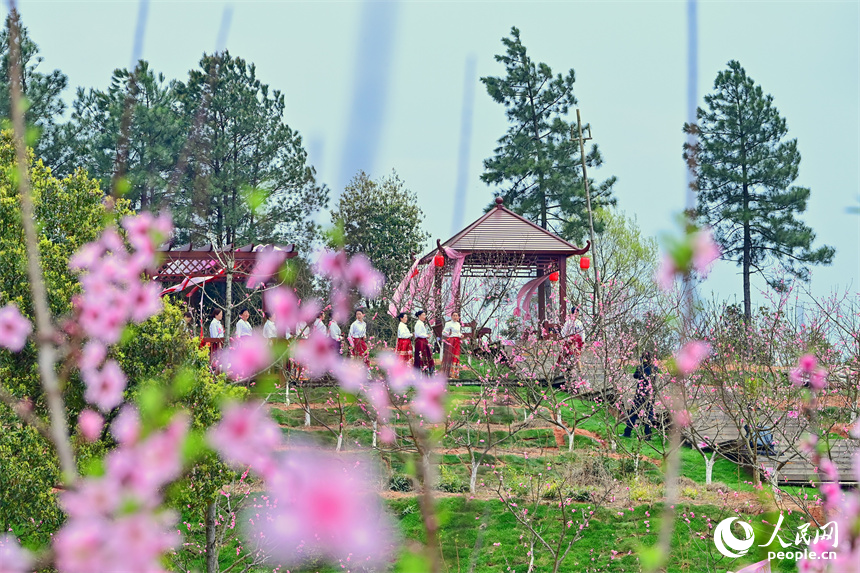 近日，江西省抚州市崇仁县以举办桃花节为契机，拓展消费场景，“国潮文化”“乡村土味”“民俗风情”成为激发“春日经济”的新动能。人民网 朱海鹏摄